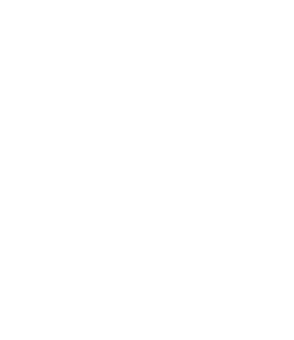 BLLT