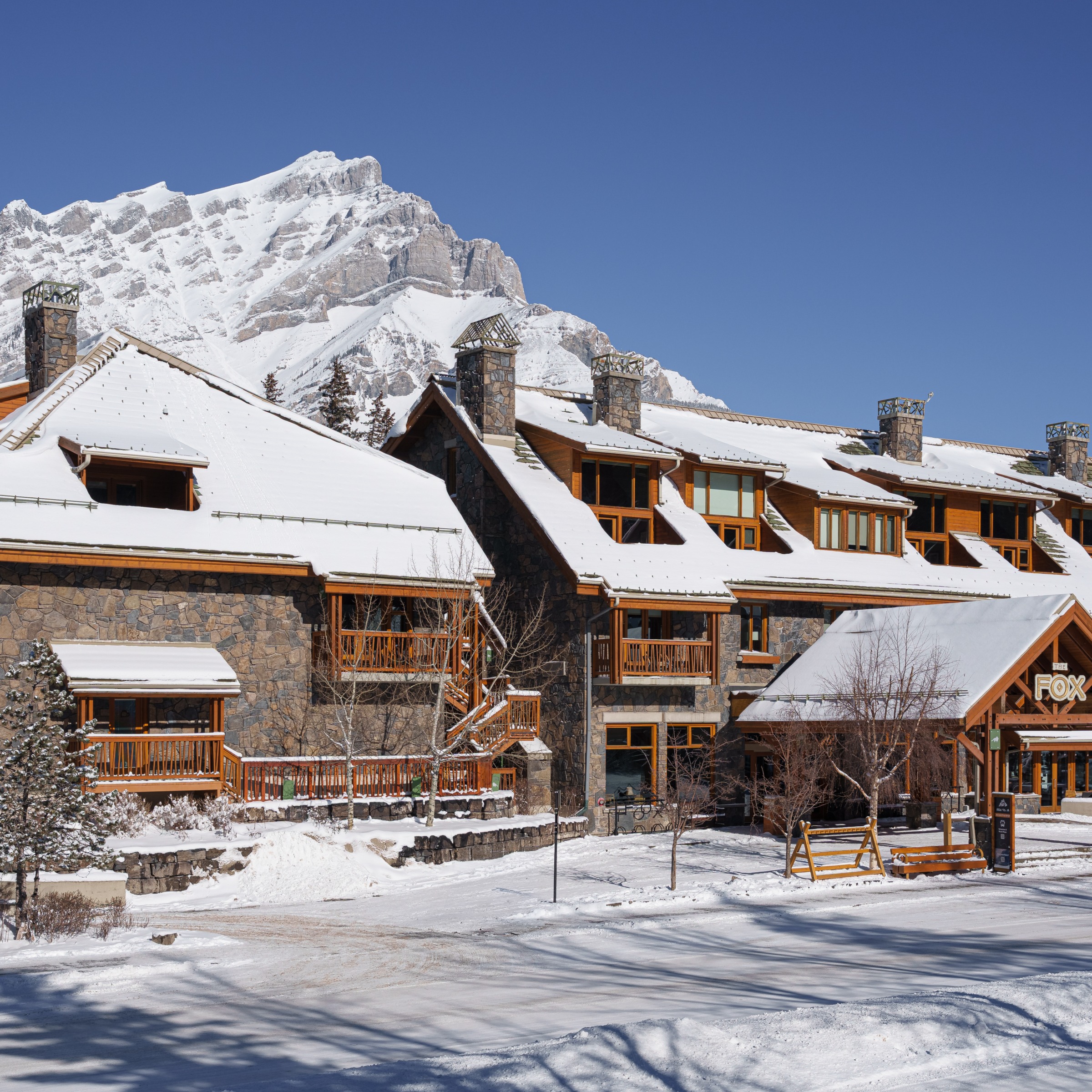 Banff Fox