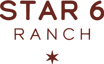 Star6_SmallLogo_Rust