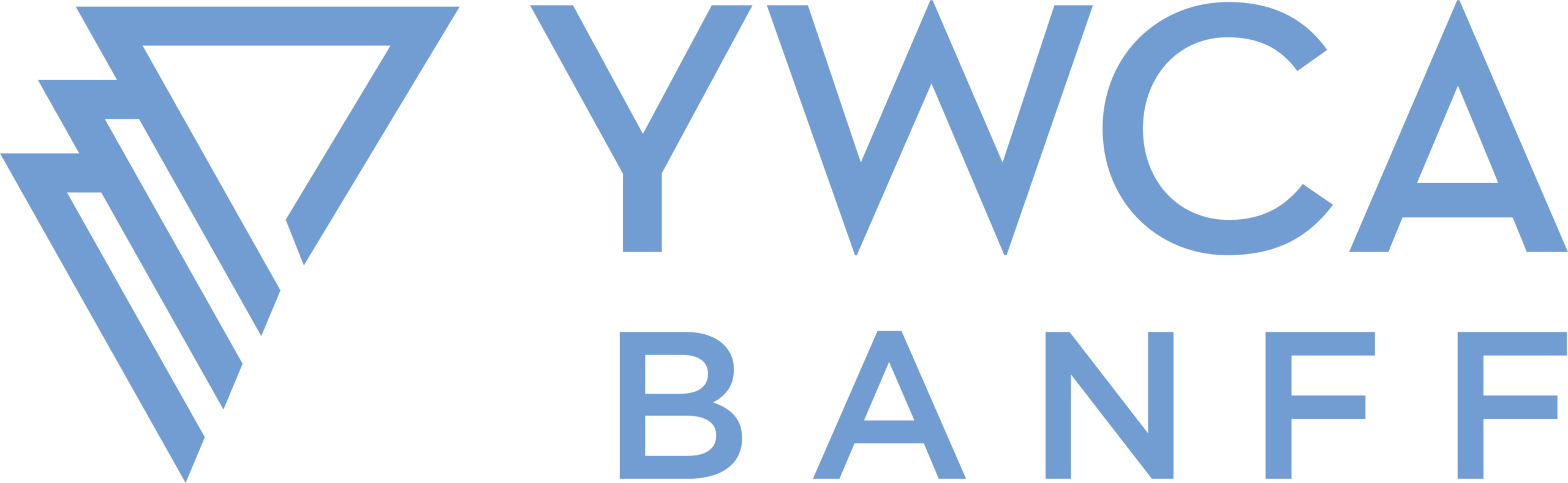 YWCA logo classic blue (2)